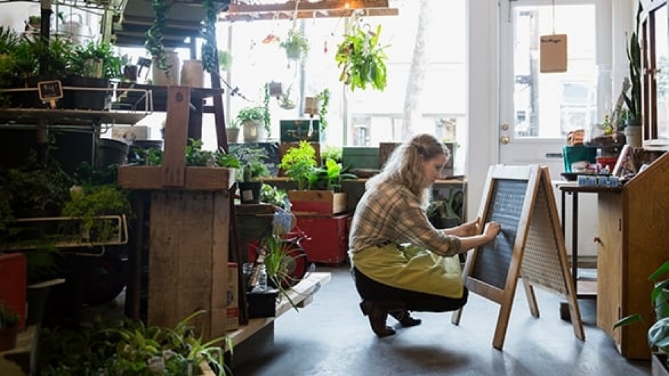 Small Business; Blackboard; Owner; 20-24 Years; 2015; Adult; Adults Only; Alberta; Apron; Blonde Hair; Calgary; Canada; Caucasian Appearance; Chalk - Art Equipment; Colour Image; Crouching; Day; Entrepreneur; Full Length; Horizontal; Indoors; Merchandise; Nature; Occupation; One Person; One Woman Only; One Young Woman Only; Only Women; People; Photography; Real People; Retail; Service; Shop; Side View; Terrarium; Women; Working; Young Adult; Young Women